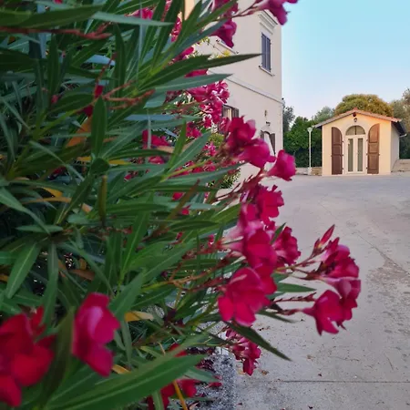 Homestay Dimora Degli Ulivi